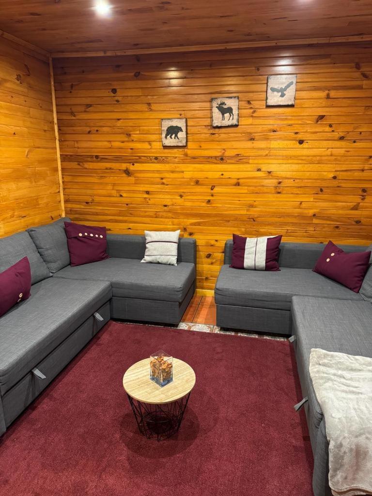 Mountain Lodge T3 Duplex Abrigo Do Lobo Covilhã Exterior foto
